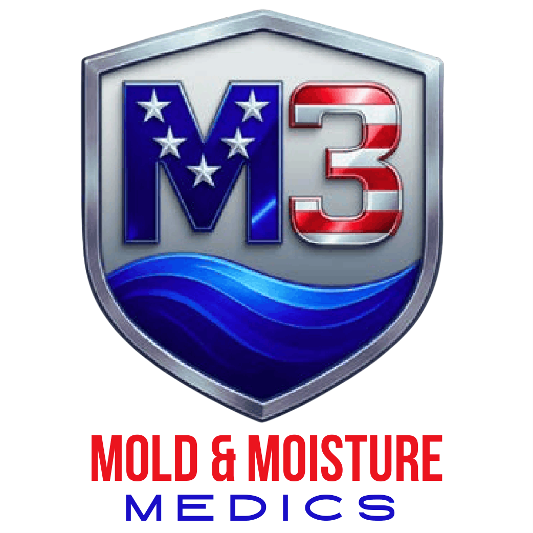 Mold & Moisture Medics
