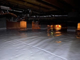 mold1