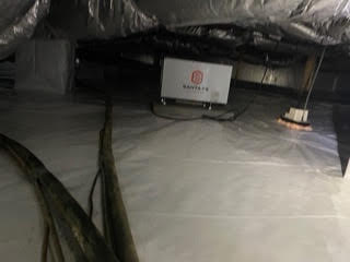 mold10