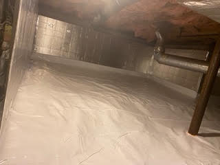 mold4
