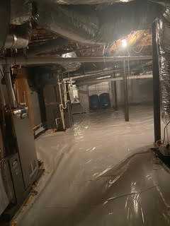 mold5