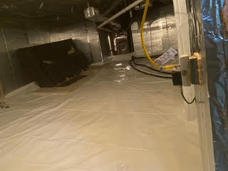mold6