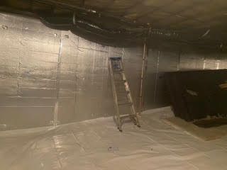 mold8